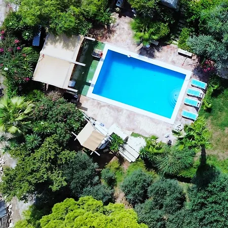 Private * Нашшар